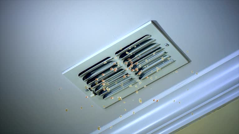 Best Affordable HVAC Duct Cleaning  in Wilmer, TX